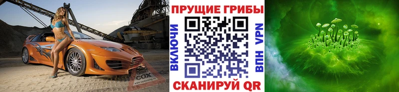MEGA сайт  Мещовск  Псилоцибиновые грибы прущие грибы  дарнет шоп 